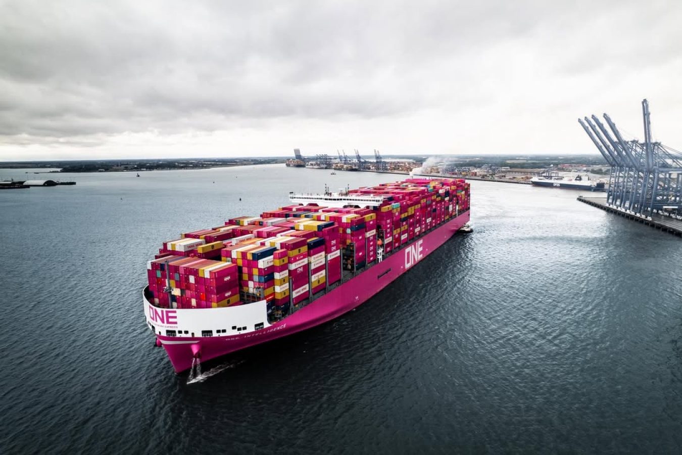 Global Sea Freight Forwarding / NVOCC